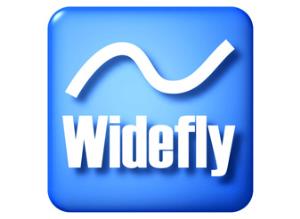 Widefly DT350 Large Kapasite Pil